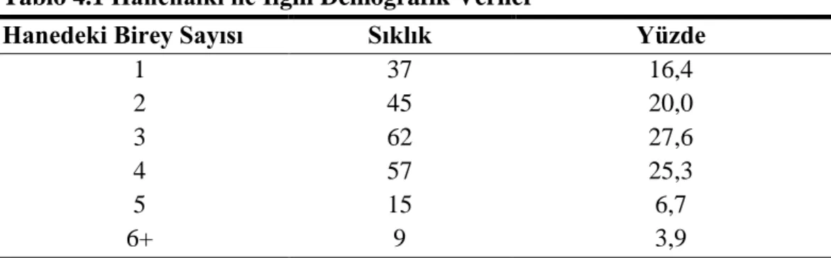 Tablo 4.1 Hanehalkı ile İlgili Demografik Veriler 