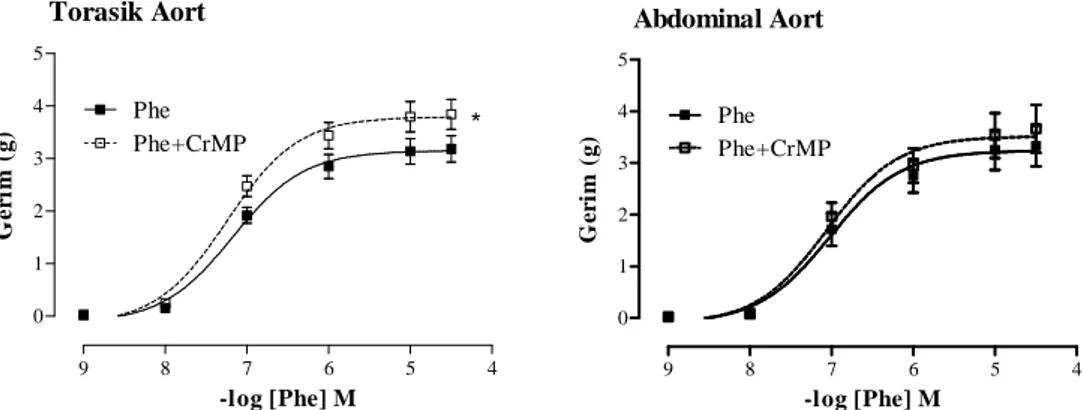 Şekil 4.1. Torasik aort ve abdominal aort halkalarının Phe (10 -9 –3x10 -5  M) ve HO inhibitörü CrMP      varlığında Phe (10 -9 –3x10 -5  M) doz-yanıt eğrileri, Phe eğrisinden fark, * p&lt;0,05