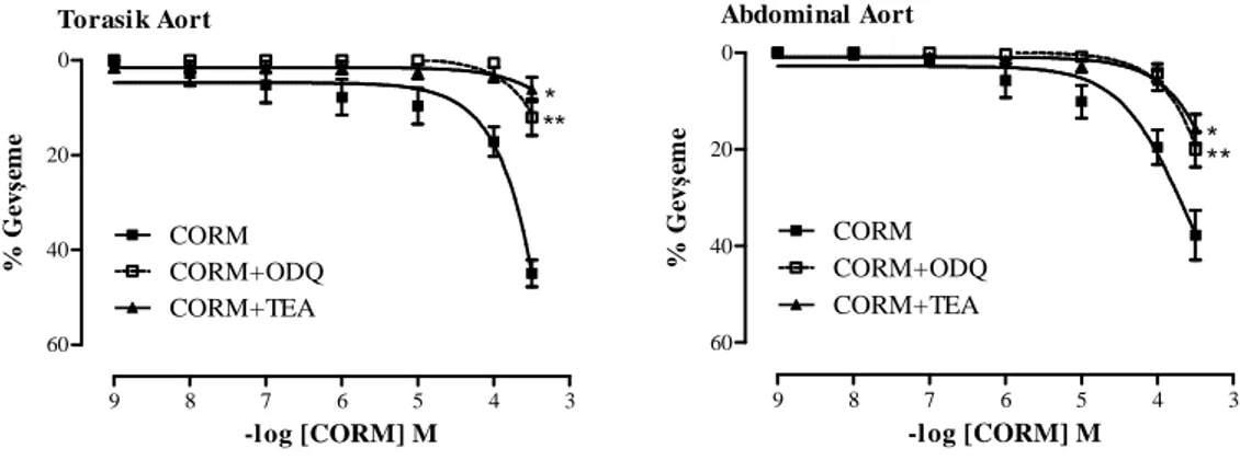 Şekil 4.2. Torasik aort ve abdominal aort halkalarının CORM (10 -9 –3x10 -4  M),  cGMP inhibitörü     ODQ varlığında CORM (10 -9 –3x10 -4  M) ve K +  kanal blokörü TEA varlığında CORM     (10 - 3x10 -4  M) doz-yanıt eğrileri, CORM eğrisinden fark, * p&lt;0