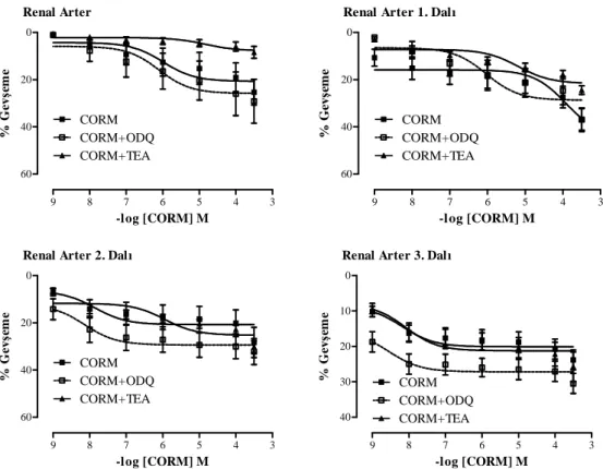 Şekil 4.6. Böbrek damar yatağına ait damar halkalarında CORM (10 -9 –3x10 -4  M), cGMP inhibitörü    ODQ varlığında CORM (10 -9 –3x10 -4  M) ve K +  kanal blokörü TEA varlığında CORM     (10 -9 –3x10 -4  M) doz-yanıt eğrileri