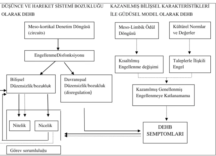 Şekil 2.1: DEHB Çift Yolak Modelinin Şematik Gösterimi  