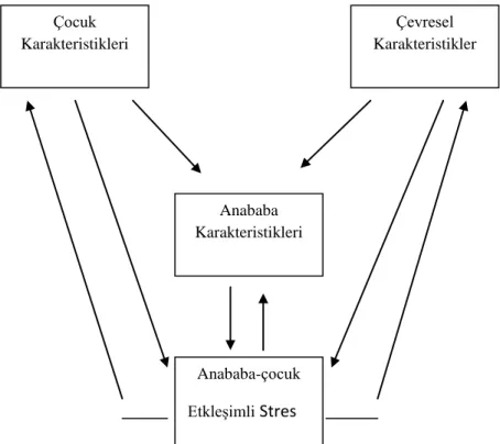 Şekil 2.6: Anababa-Çocuk Etkileşiminde Stres Modeli 