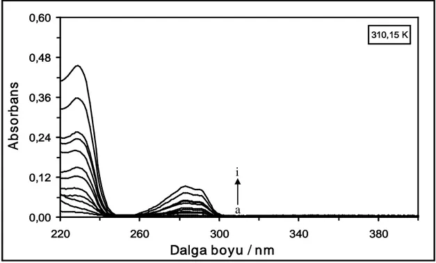 Şekil  4.3.  310,15  K’de  farklı  konsantrasyonlardaki  DCP  maddesinin  absorpsiyon  spektrumları