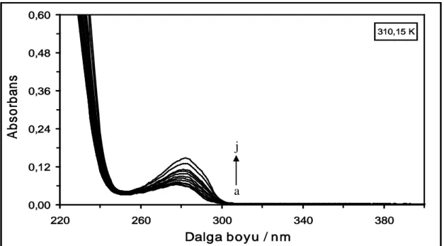 Şekil  4.7.  310,15  K’de  farklı  konsantrasyonlarda  DCP  varlığında  2x10 -6   M HSA  çözeltisinin  absorpsiyon  spektrumları