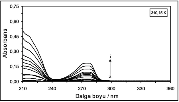 Şekil  4.11.  310,15  K’de  farklı  konsantrasyonlardaki  CF  maddesinin  absorpsiyon  spektrumları