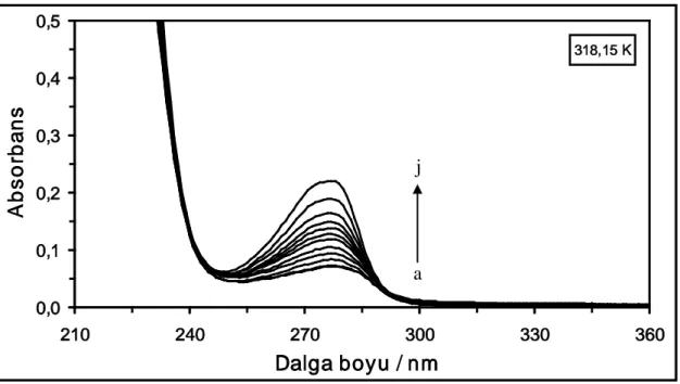 Şekil  4.16.  318,15  K’de  farklı  konsantrasyonlarda  CF  varlığında  2x10 -6   M HSA  çözeltisinin  absorpsiyon  spektrumları