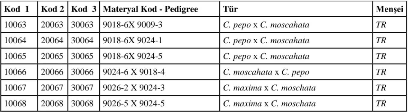 Çizelge 3.3. Generasyon 2 