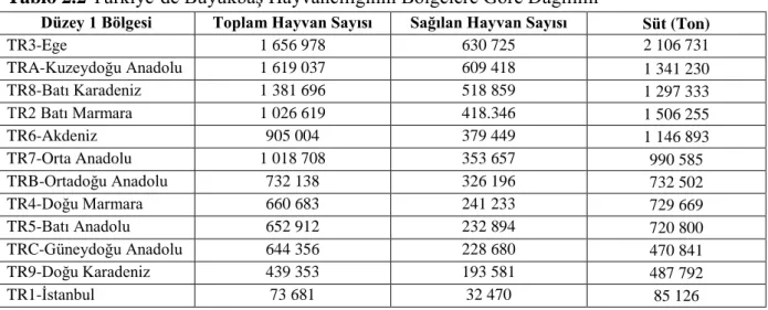 Tablo 2.2 Türkiye’de BüyükbaĢ Hayvancılığının Bölgelere Göre Dağılımı 