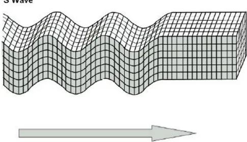 Şekil  2.8.  S  dalgasının  meydana  getirdiği  sağa-sola  yada  yukarı-aşağı  hareketinin  şematik gösterimi 