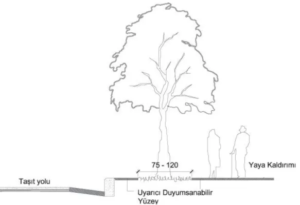 ġekil 4.4. Yaya kaldırımında ağaçlandırma (cm) (ÖZĠ 2010) 