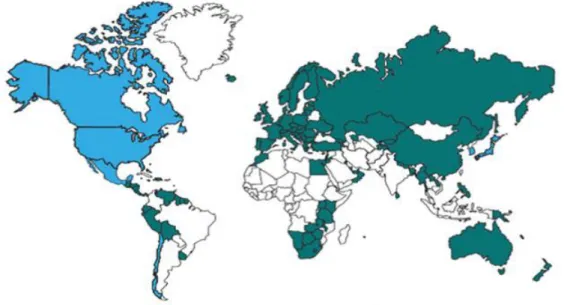 Şekil 1.3 UFRS’lerin Dünyada Kullanımı 1  (Deloitte UFRS Cep Kitapçığı, 2010). 