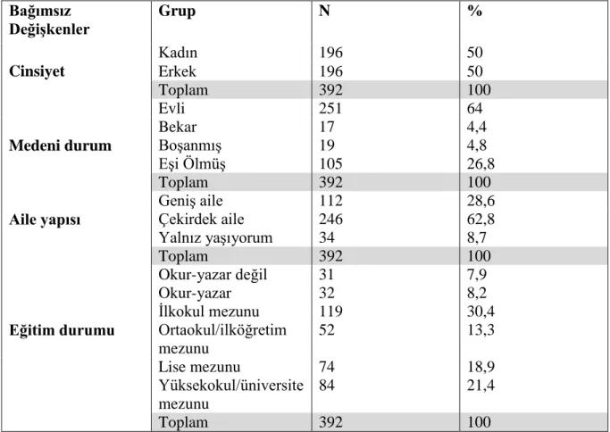 Tablo 2.2 Demografik Özellik Dağılımı  