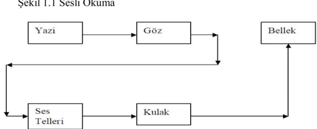 Şekil 1.1 Sesli Okuma 