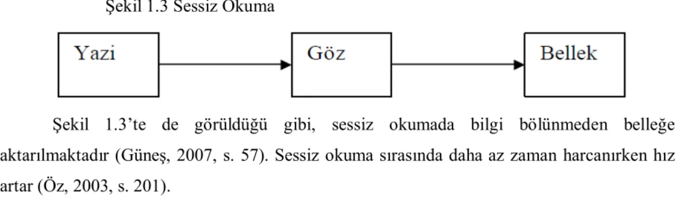 Şekil  1.2’den  de  anlaşılacağı  gibi,  sesli  okuma  süreci  ile  yarı  sesli  okuma  süreci  birbiriyle benzerlik göstermektedir