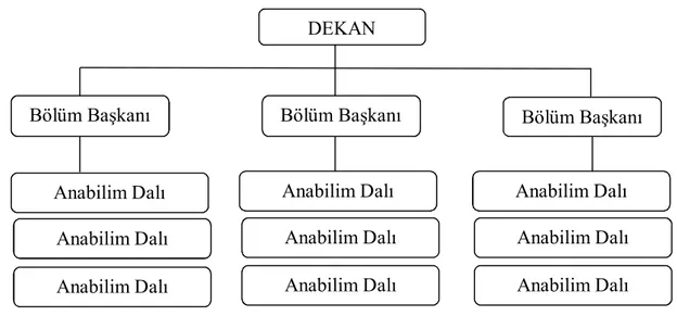 Çizelge 2.4 Üniversite İlk ve Orta Düzey İdari Yapılanması  