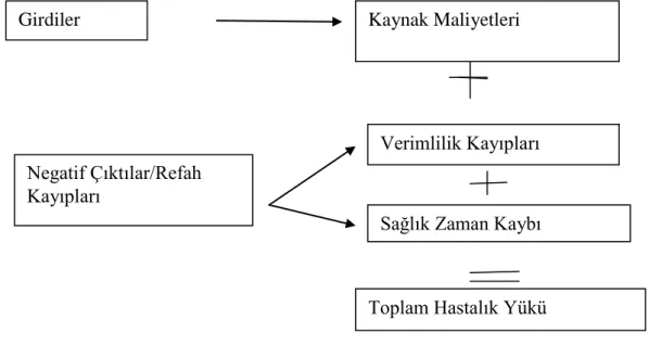 Şekil 1.4 Hastalığın Maliyet Girdi Birleşeni 