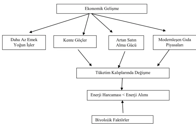 Şekil 2.1 Ekonomik Gelişme ve Obezite   