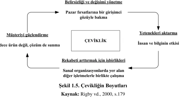 Şekil 1.5. Çevikliğin Boyutları  Kaynak: Rigby vd., 2000, s.179 