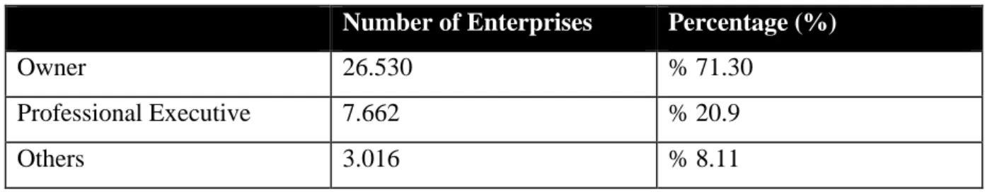 Table 3.2 Who Manage SMEs? 