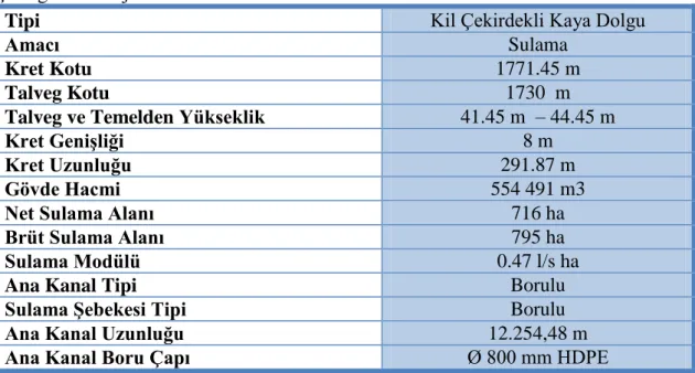 Çizelge 4.9. Proje Temel Özellikleri 