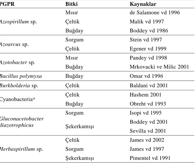 Çizelge  2.1.  N 2   fikse  edebilme  yetenekleri  aracılığıyla  bitki  geliĢimini  teĢvik  eden  .PGPR ve etkili oldukları konukçu bitkiler (Vessey 2003) 