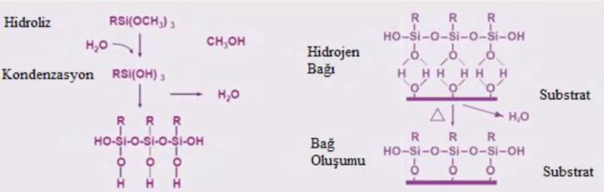 Şekil  1.11. Organofonksiyonel silanların hidroliz-kondenzasyonu ve inorganik yüzeye  kovalent bağlanması (de Buyl 2005) 