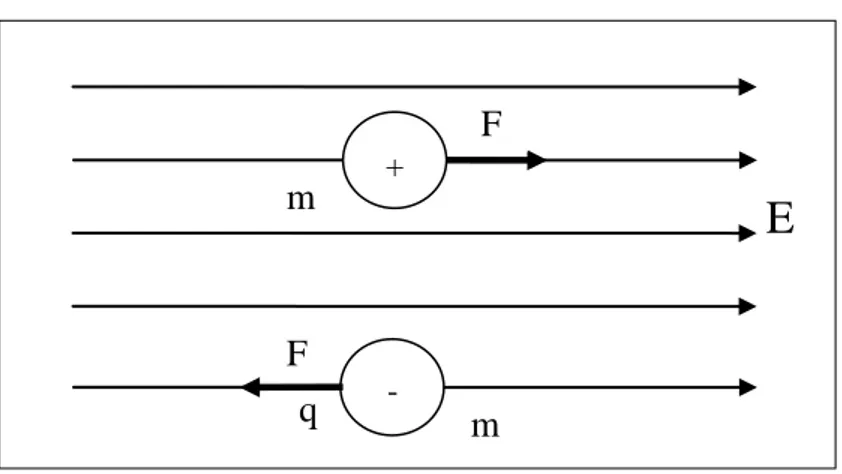 Şekil 2.2. Elektrik alanda farklı yüklere etkiyen kuvvetlerin yön ve doğrultuları 