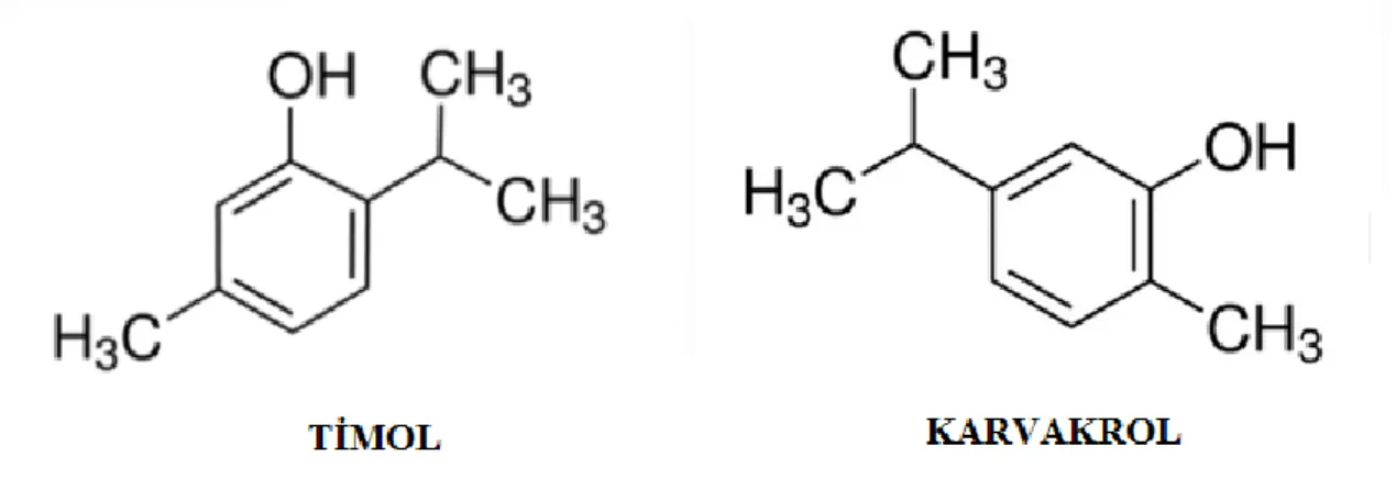 Şekil 2.4. Karvakrol ve timolün kimyasal yapısı 