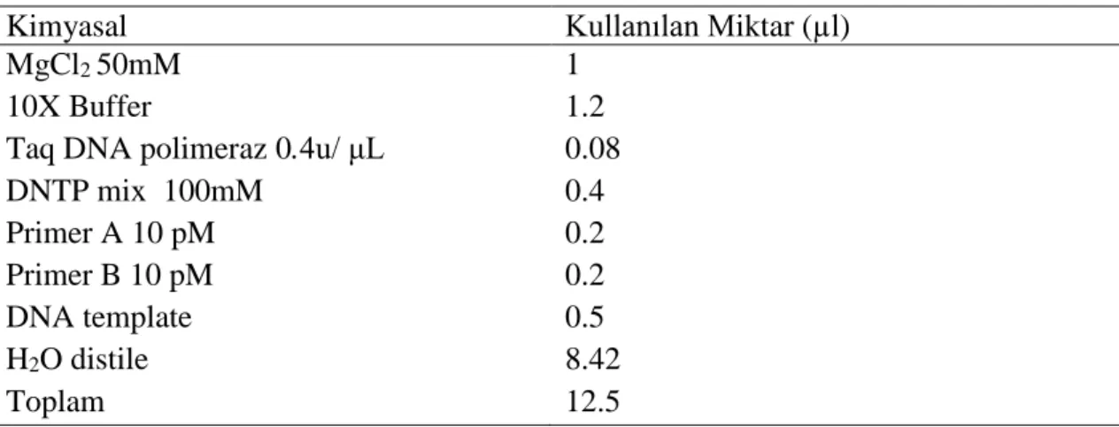 Çizelge 3.2. Mitokondriyal Sitokrom Oksidaz I gen bölgesine spesifik primer dizilimleri 