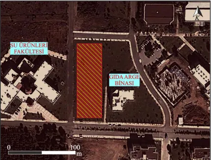 Şekil 4.3. Kampüs  alanı  1  numaralı  çalışma  bölgesini  gösteren  uydu  görüntüsü  (25/10/2013 tarihli uydu fotoğrafı, Google Earth) 