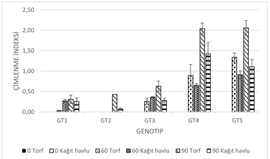 Şekil  4.5.  Katlama  sürelerinin  ve  çimlendirme  ortamlarının  C.  australis  genotiplerinin  çimlenme indeksi üzerindeki etkileri