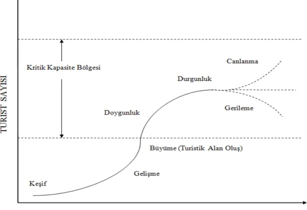 Şekil 1.1 Butler Destinasyon Yaşam Seyri Modeli 