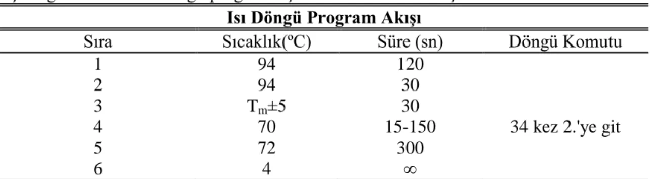 Çizelge 3.1. PZR ısı döngü programı için süre ve sıcaklık koşulları  Isı Döngü Program Akışı 