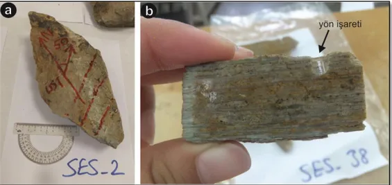 Şekil  2.1.  (a)  Araziden  alınan  örnekler  üzerinde  lineasyon  çizgisinin  kuzeyle  yaptığı  açının  ölçümünün  görünümü  (b)  Foliyasyona  dik  lineasyona  paralel  olacak  şekilde ince kesit için hazırlanan yönlü örneğin görünümü