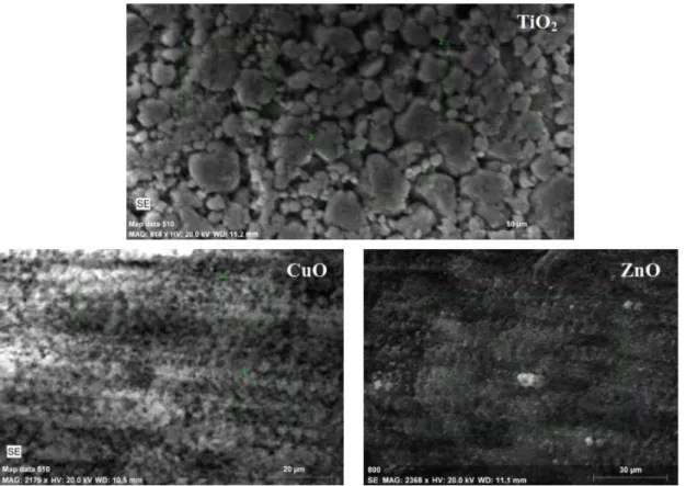Şekil  3.2.Ticari  olarak  temin  edilen  TiO 2 ,  CuO  ve  ZnO  nanopartiküllerinin  SEM  görüntüleri 