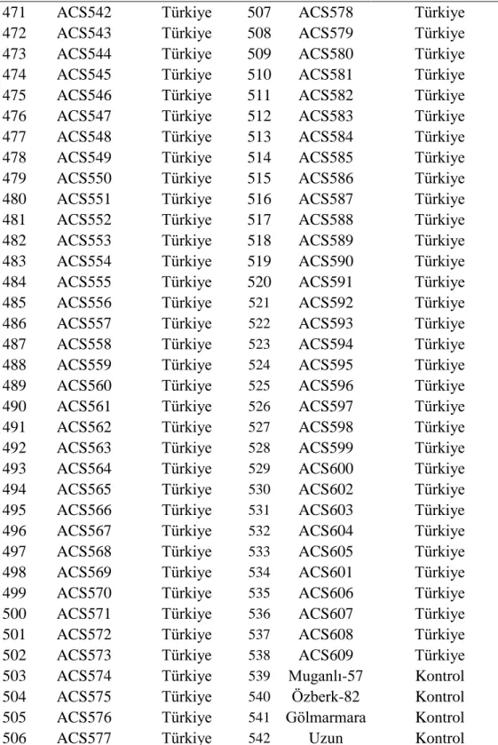 Çizelge 3.3'ün devamı 
