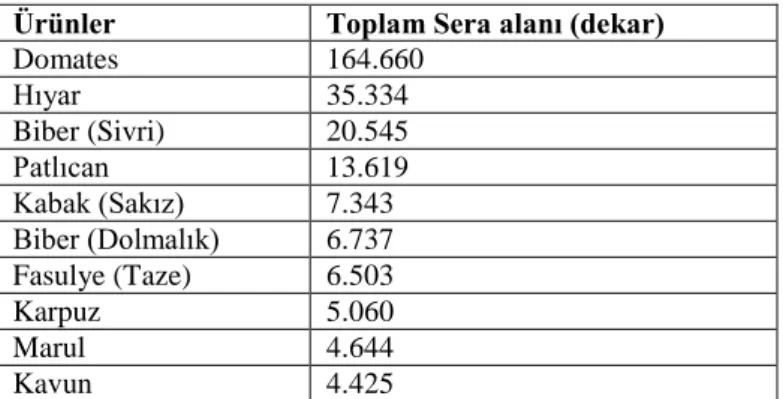 Çizelge 1.3. Antalya İli’nde yetiştirme alanı bakımından en önemli 10 sebze 