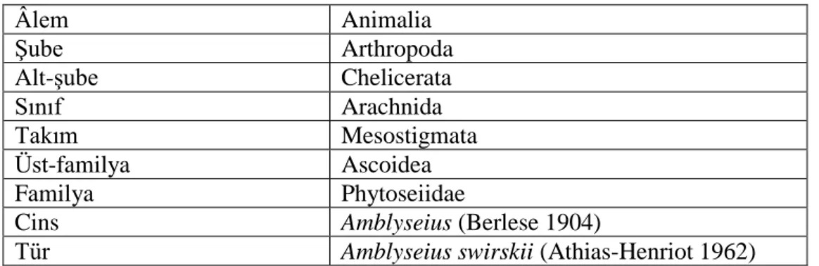 Çizelge 2.3. Amblyseius swirskii’nin sistematikteki yeri  