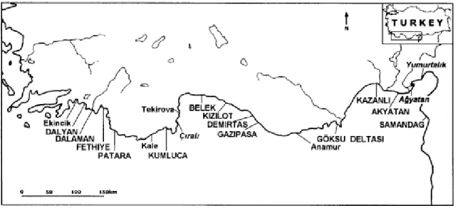 Şekil  1.1.  Türkiye’nin  Akdeniz  sahillerindeki  deniz  kaplumbağası  popülasyonları  için  önemli yuvalama yerleri (Türkozan vd 2003)
