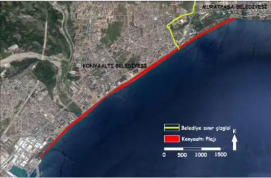 Şekil 3.3. Çalışmanın akış şeması   