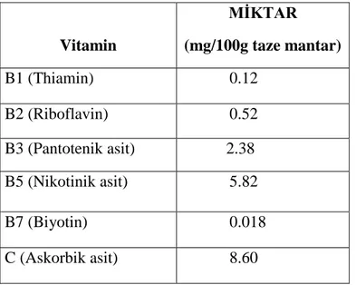 Çizelge 1.1. Kültür mantarları Agaricus bisporus’ un bileşiminde bulunan vitaminler 