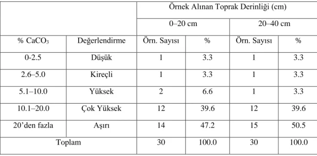 Çizelge  4.2.  Antalya  ilinin  Elmalı  ilçesindeki  seraların  toprak  örneklerinin  CaCO 3    değerlerine göre sınıflandırılması  