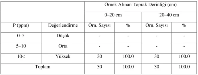 Çizelge 4.7. Antalya ili Elmalı ilçesindeki seraların toprak örneklerinin alınabilir fosfor  kapsamlarına göre sınıflandırılması  