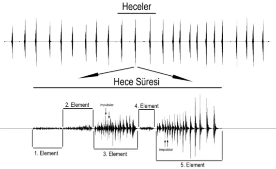 Şekil  2.2.  Seslerin  incelenmesinde  kullanılan  terimlerin  ses  osilogramı  üzerinde  gösterimi 