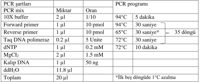 Çizelge 3.5. Pas hastalığına dayanıklılığı belirlemek amacıyla kullanılan PCR şartları                      ve programı 