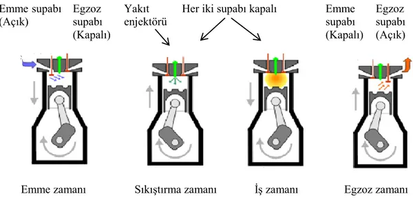 Şekil 2.4. Standart dört zamanlı bir dizel motorun çalışma aşamaları (MEB 2011) 