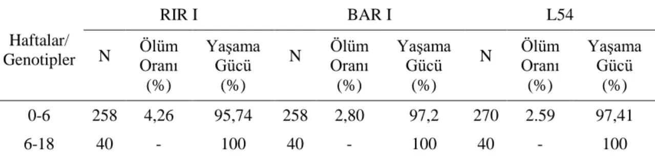 Çizelge 2.2.  Kahverengi yumurtacı saf hatlara ait 0-6 haftalık (karışık bireyler) ve 6-18  haftalık (dişi bireyler) yaş itibariyle yaşama gücü ve ölüm oranları 