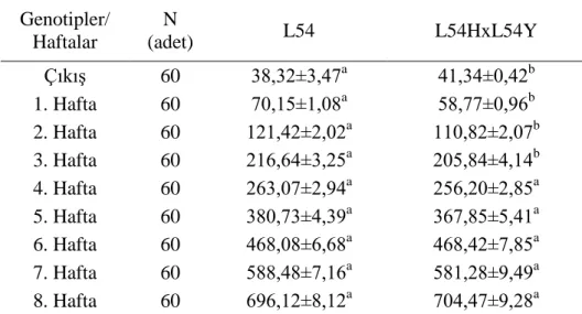 Çizelge 4.6.   L54  saf  ana  hattı  ve  L54HxL54Y  melez  ana  soyunun  civciv  dönemi  ortalama canlı ağırlıkları (g) 