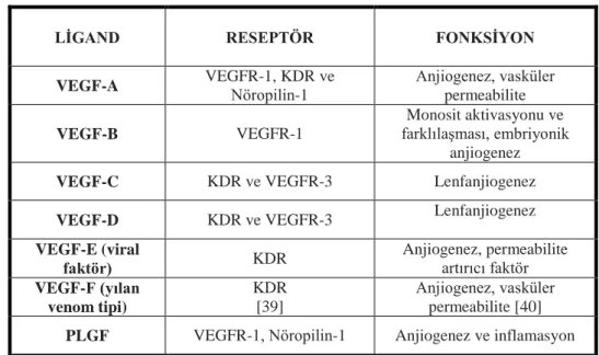 Tablo 1. VEGF ligandlarının bağlandıkları reseptörler ve fonksiyonları 
