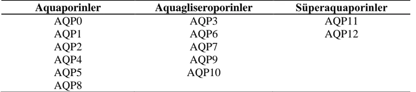 Tablo 2.8. Aquaporin ailesinin üyeleri 